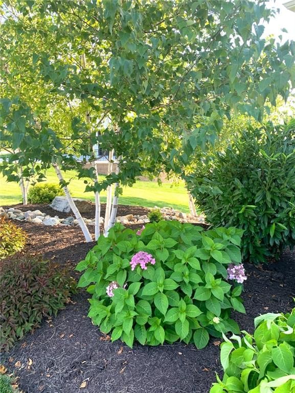 15516 Stearns Street — photo 74