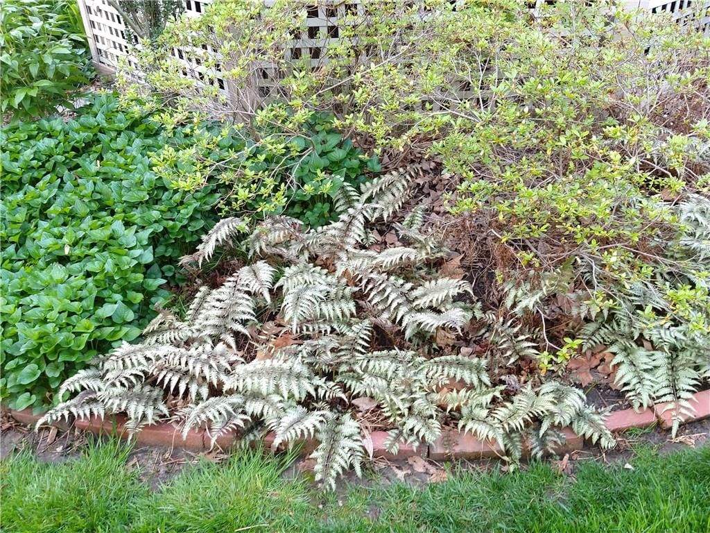 401 S Harrison Street — photo 79