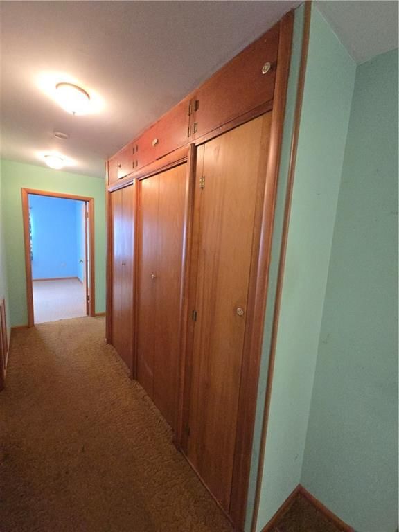 321 Elm Street — photo 18