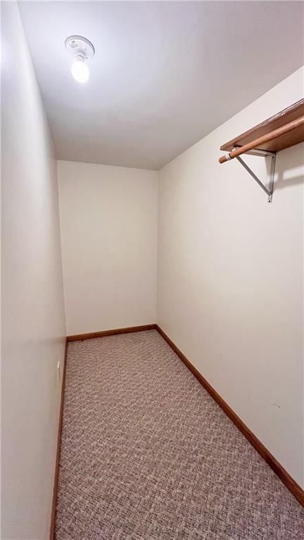 39 Mackenzie Drive — photo 47