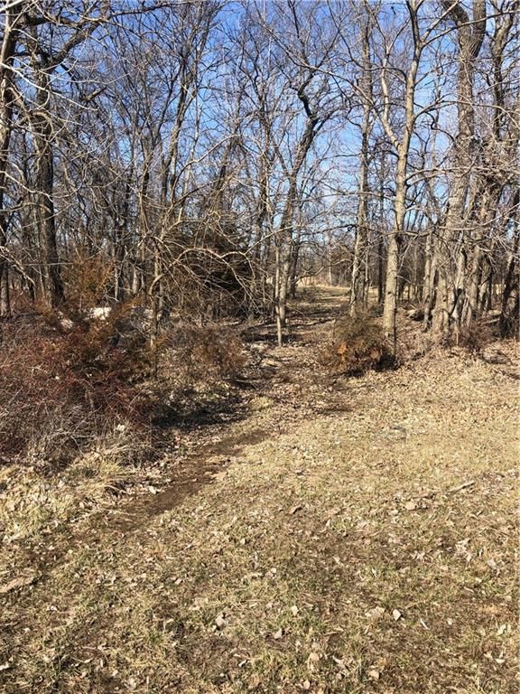 E 315th Street — photo 11