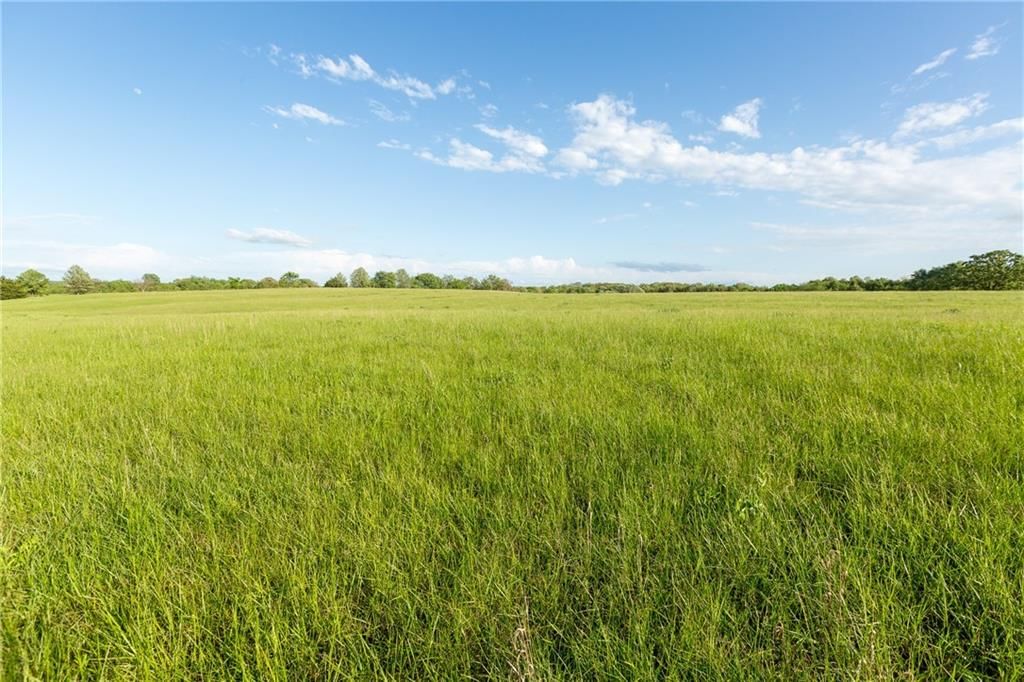 SE Tract B 400th Road — photo 15