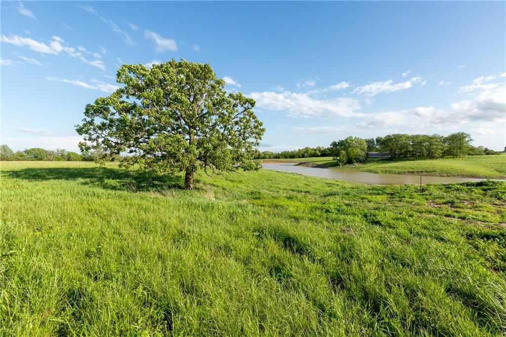 SE Tract B 400th Road — photo 19