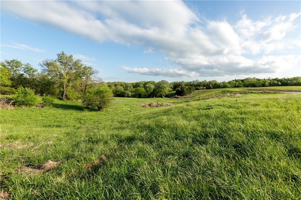 SE Tract C 400th Road — photo 24