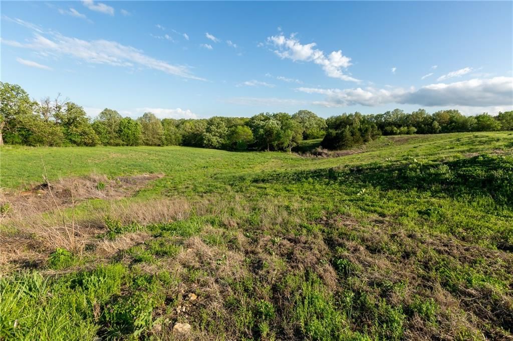 SE Tract C 400th Road — photo 30