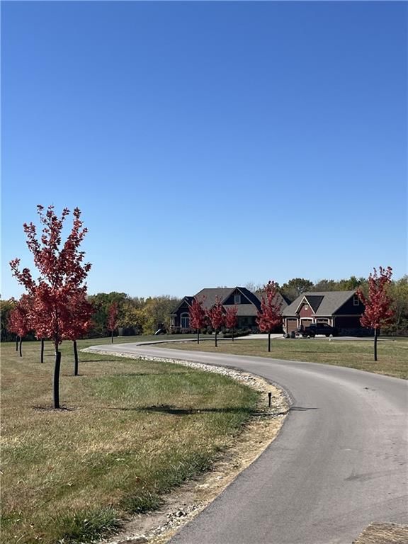 4167 Highway 131 N/A — photo 80