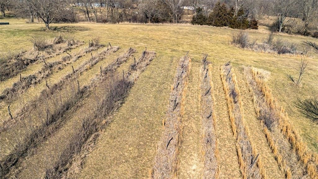 6872 Wild Horse Road — photo 58