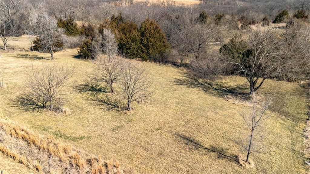6872 Wild Horse Road — photo 59