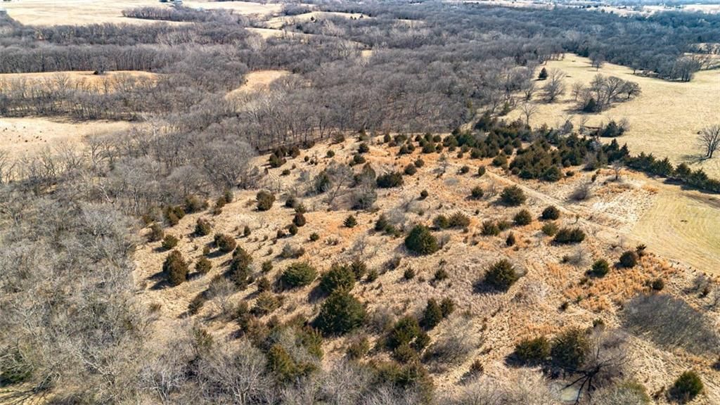 6872 Wild Horse Road — photo 77
