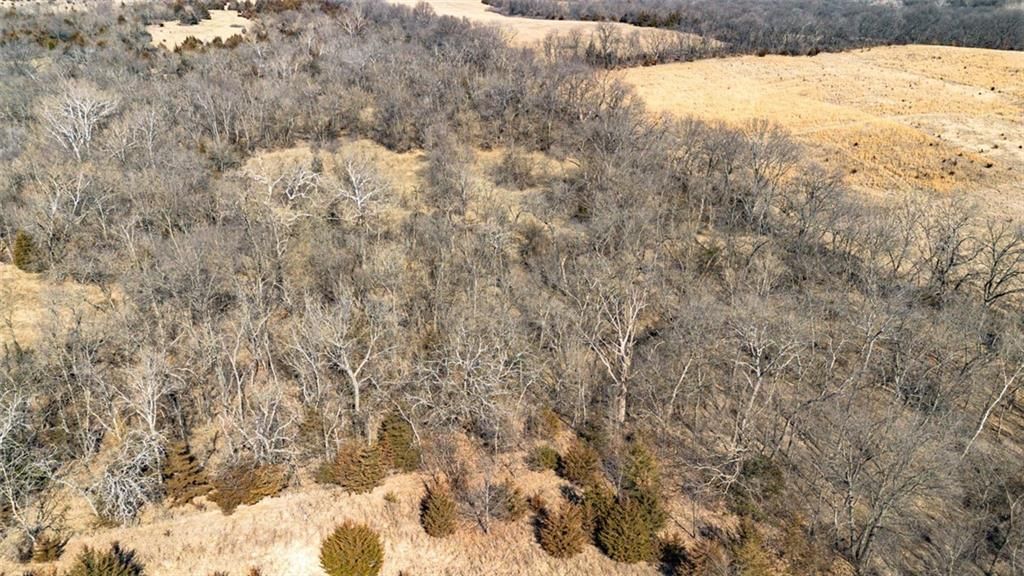 6872 Wild Horse Road — photo 78