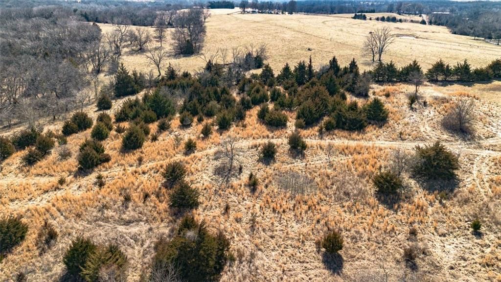 6872 Wild Horse Road — photo 79
