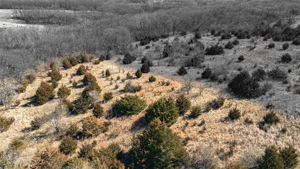6872 Wild Horse Road — photo 83