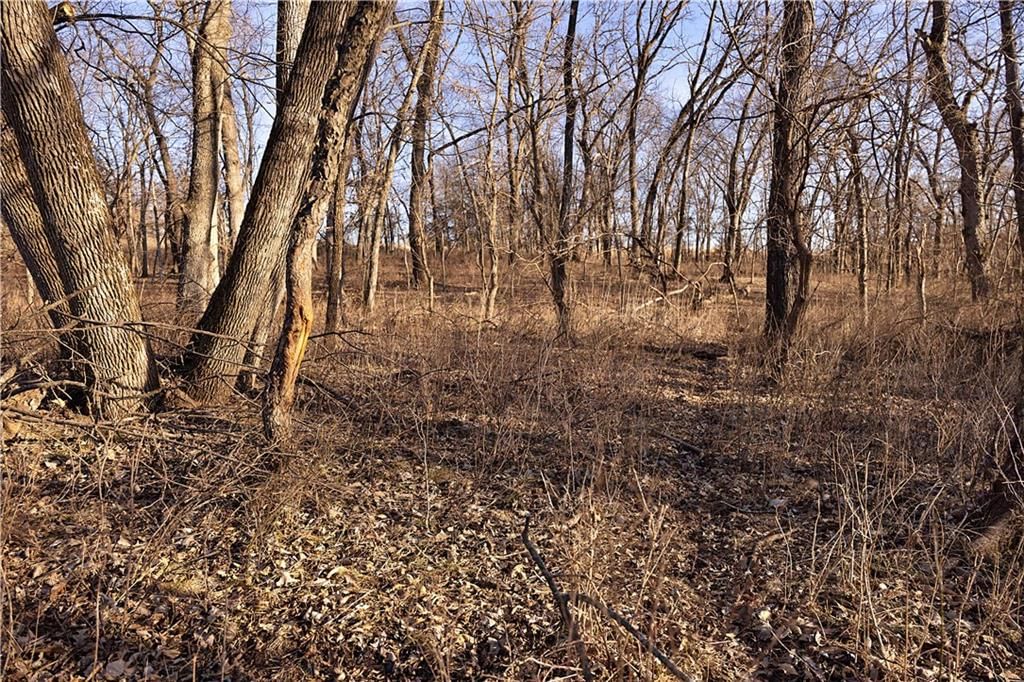 426 C Highway — photo 82