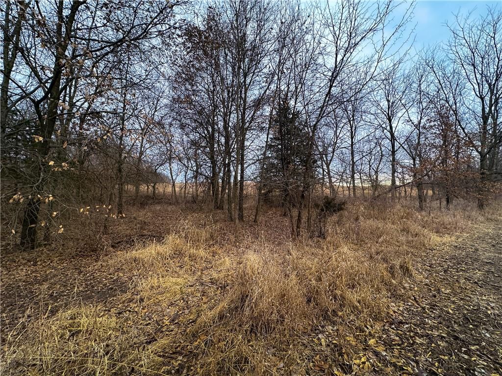Tract 1 State Road B Road — photo 28