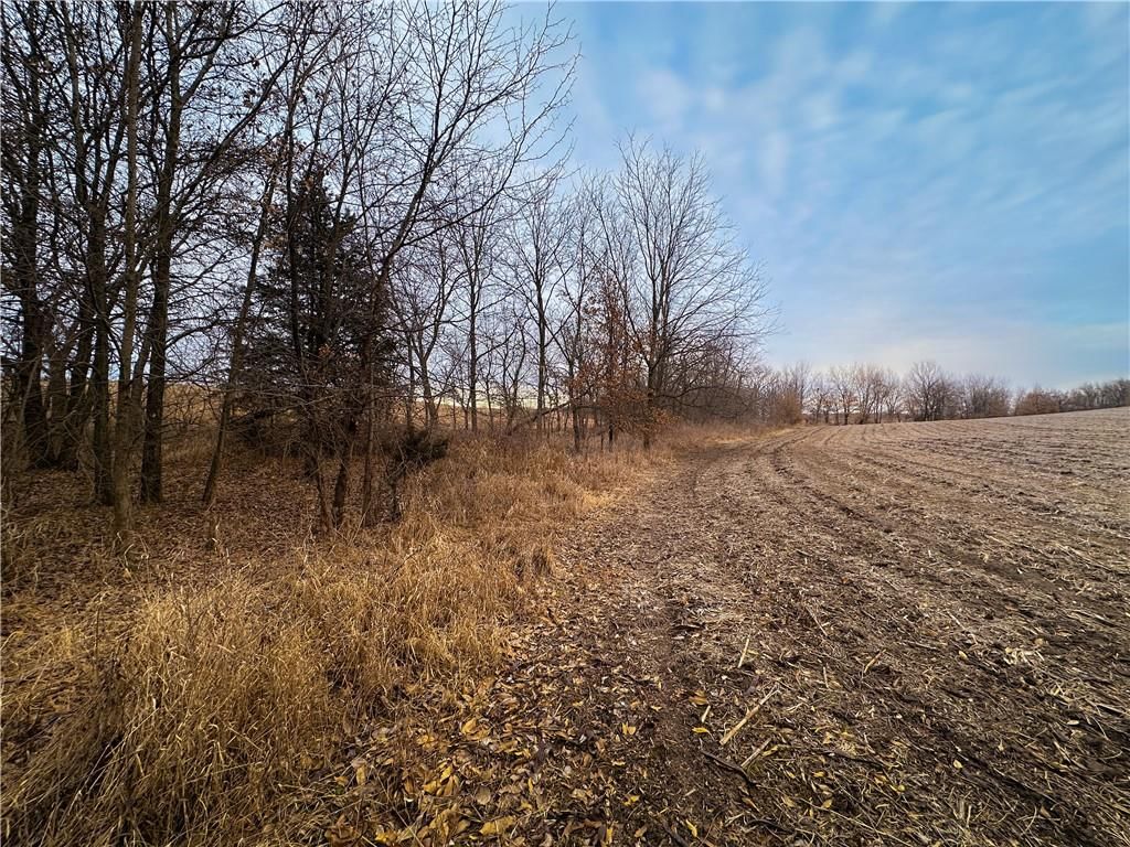 Tract 1 State Road B Road — photo 29