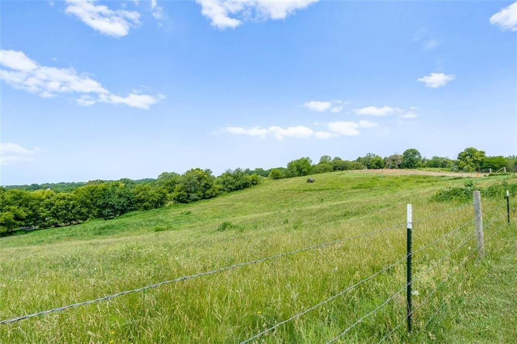 11203 County Rd. 375 N/A — photo 46