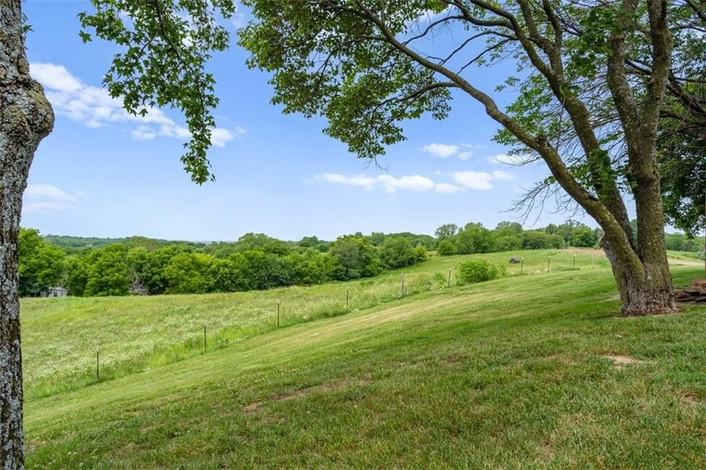 11203 County Rd. 375 N/A — photo 48