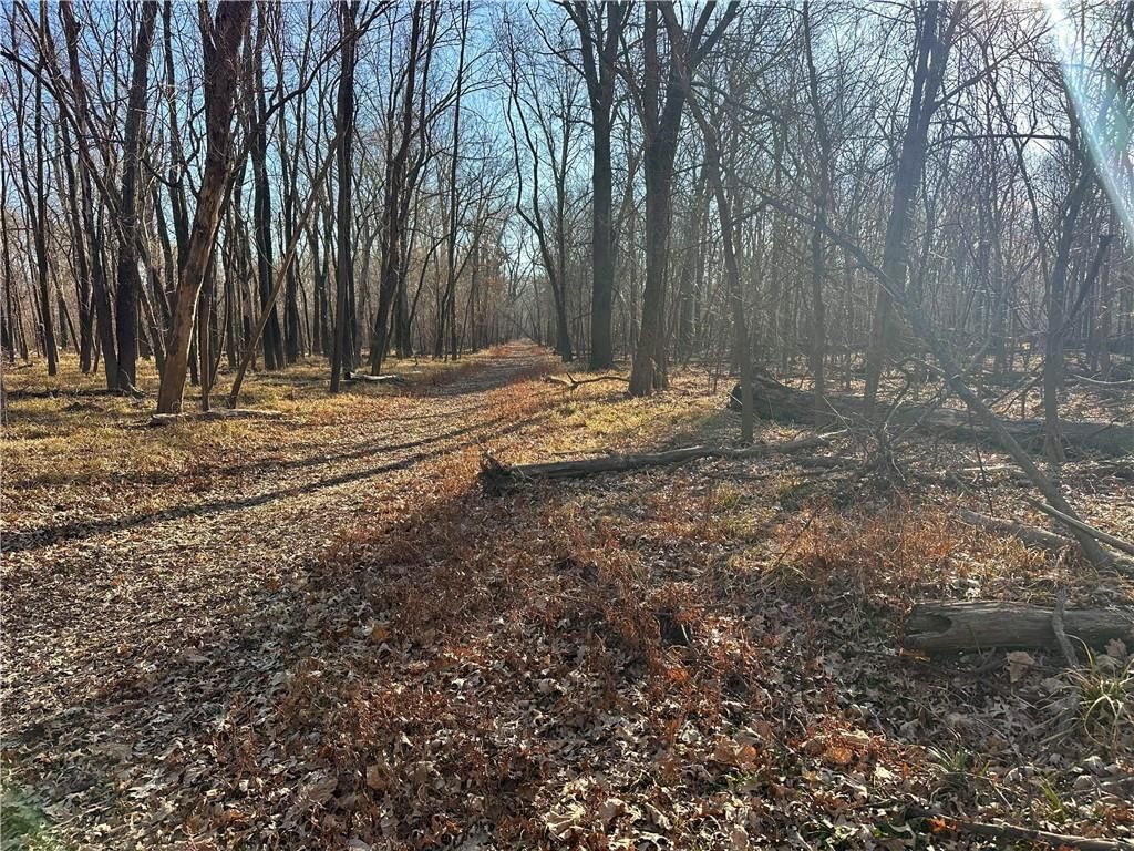 000 Old River Road — photo 4