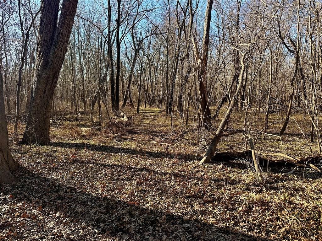 000 Old River Road — photo 5