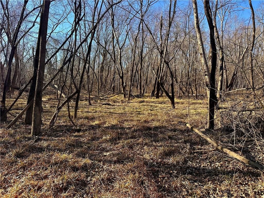 000 Old River Road — photo 6