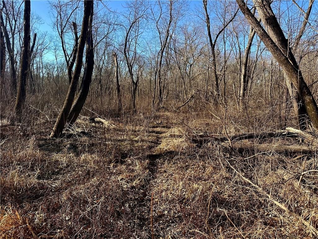 000 Old River Road — photo 7