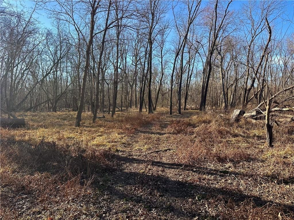 000 Old River Road — photo 8