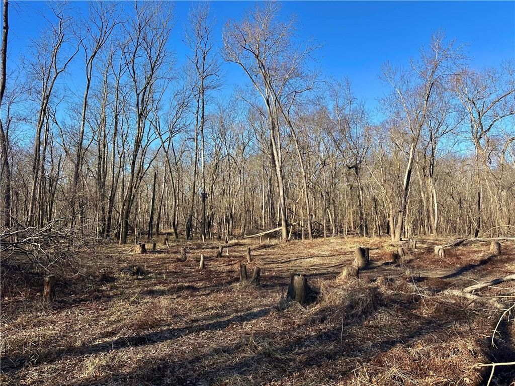 000 Old River Road — photo 9