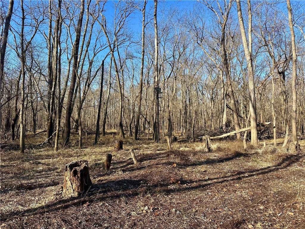 000 Old River Road — photo 10