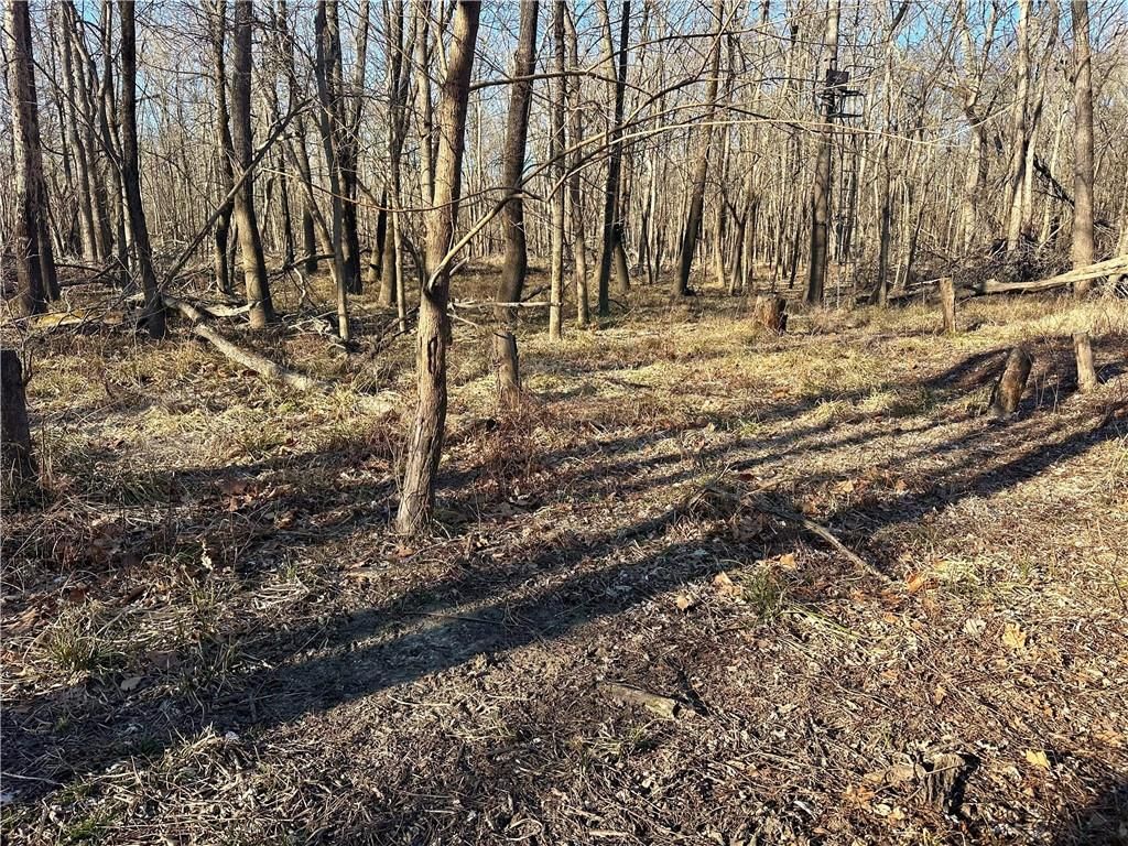 000 Old River Road — photo 12