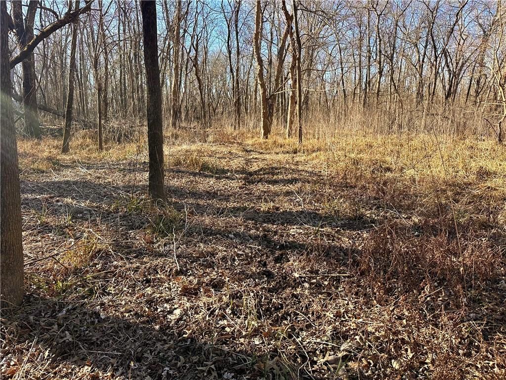 000 Old River Road — photo 13