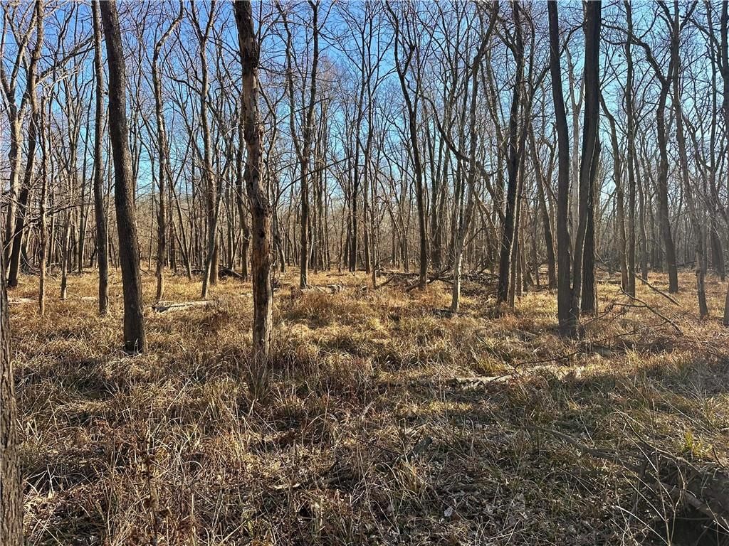 000 Old River Road — photo 14