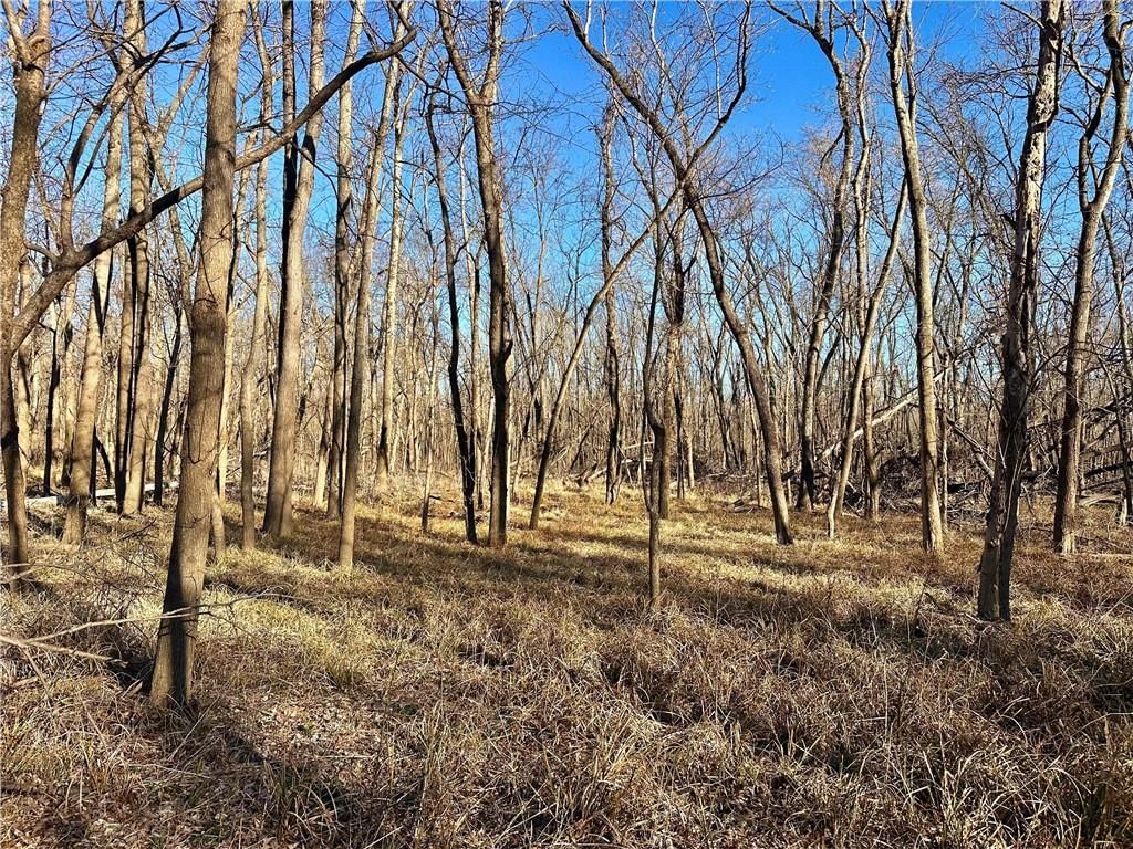 000 Old River Road — photo 15