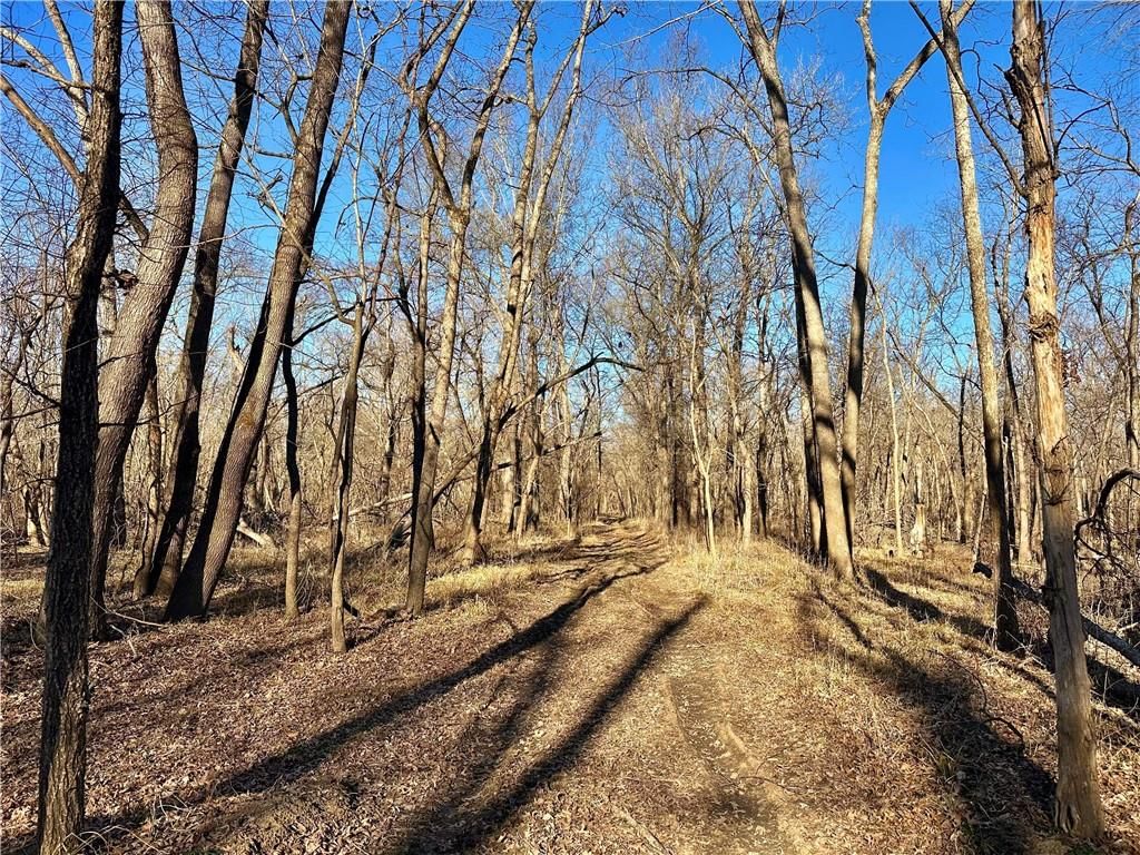 000 Old River Road — photo 16