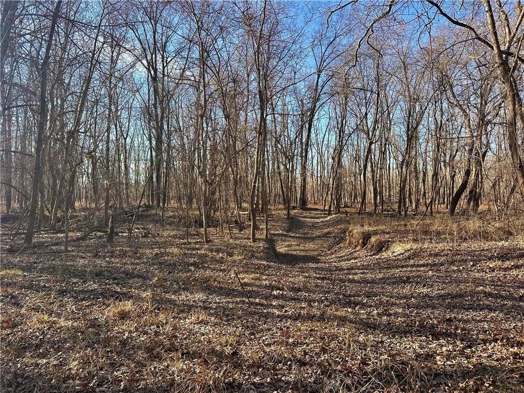 000 Old River Road — photo 17