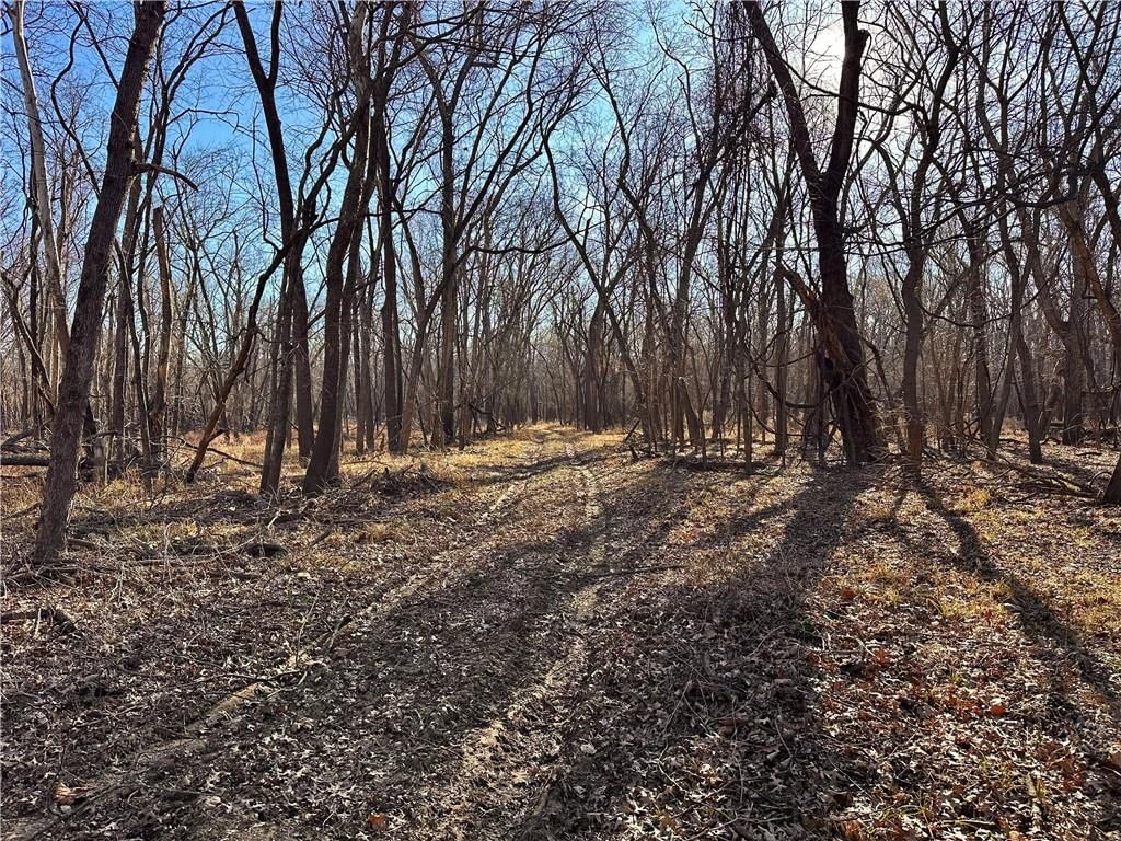 000 Old River Road — photo 18