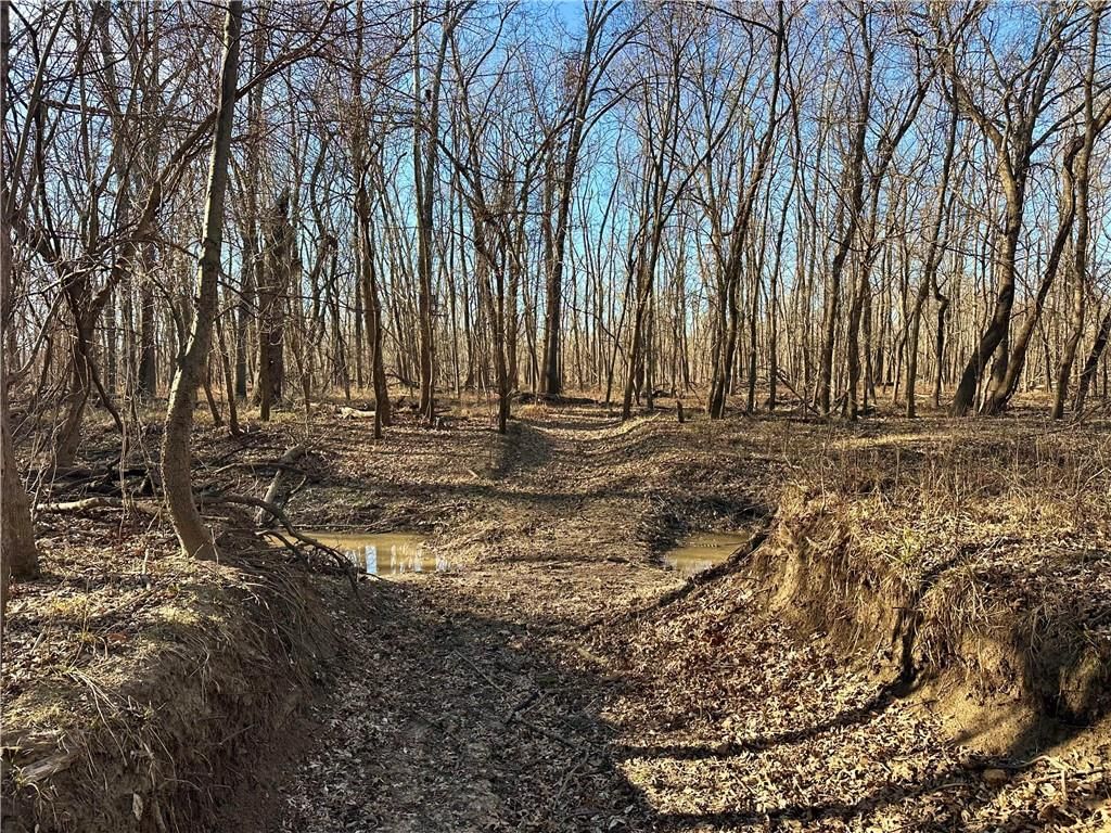000 Old River Road — photo 19