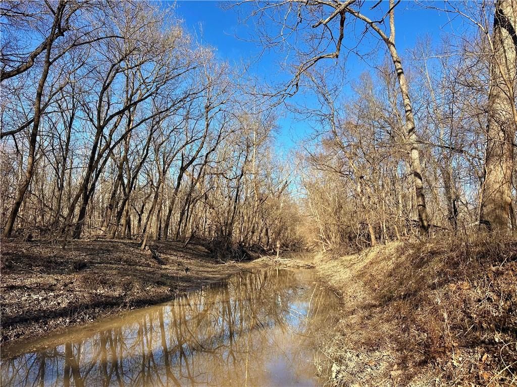 000 Old River Road — photo 20
