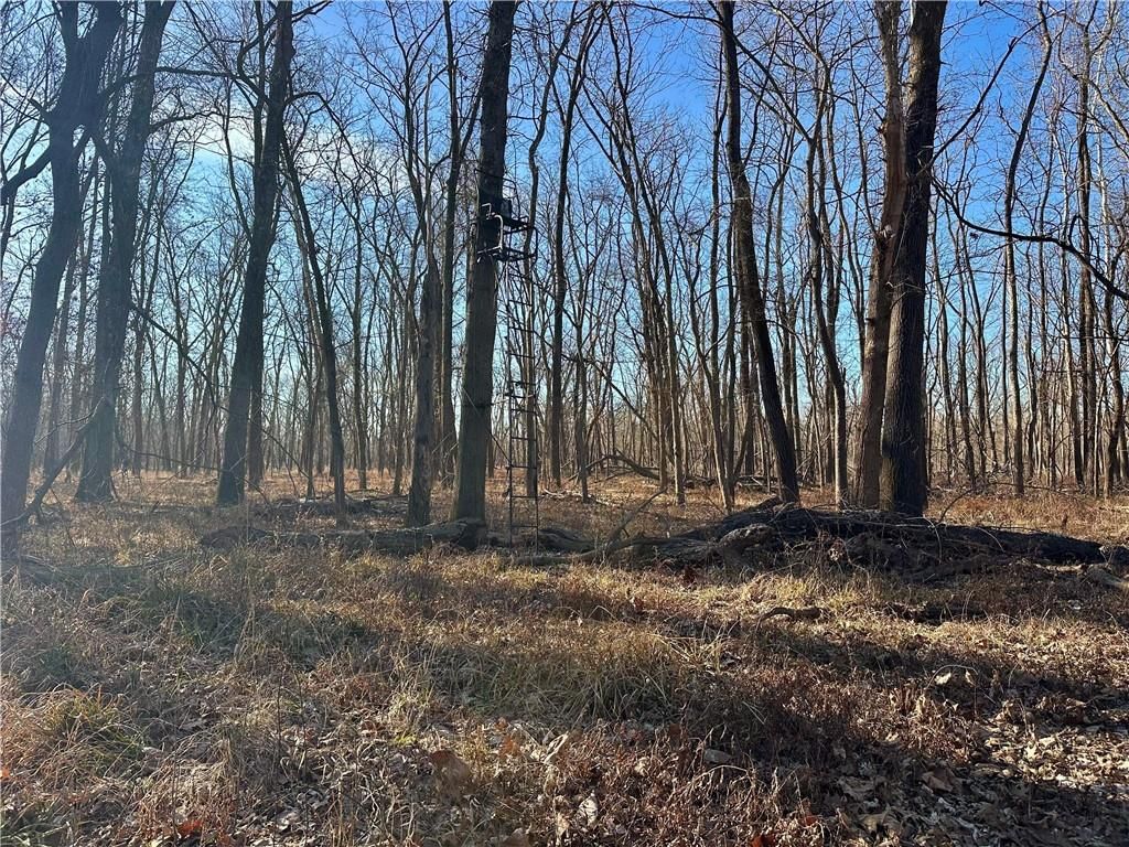 000 Old River Road — photo 24