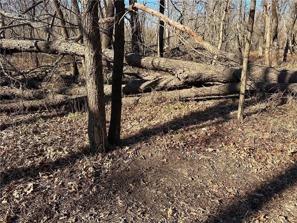 000 Old River Road — photo 27