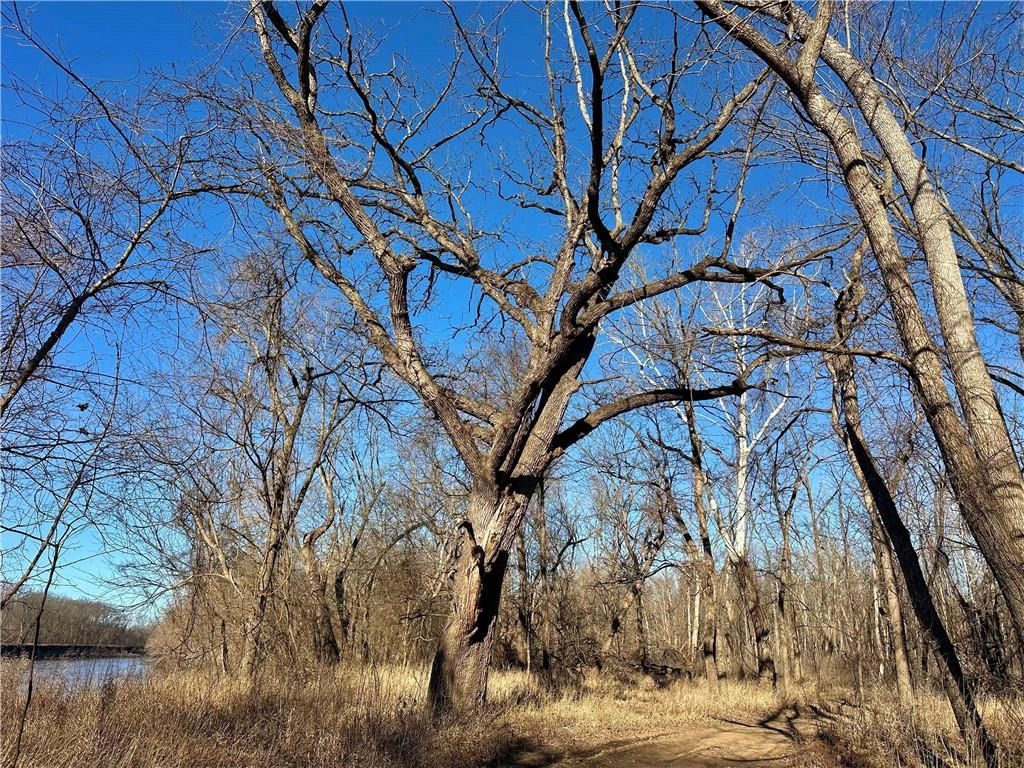 000 Old River Road — photo 28