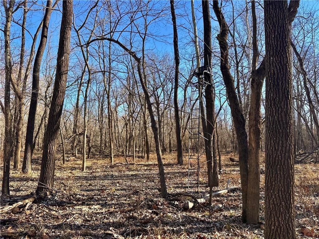 000 Old River Road — photo 29