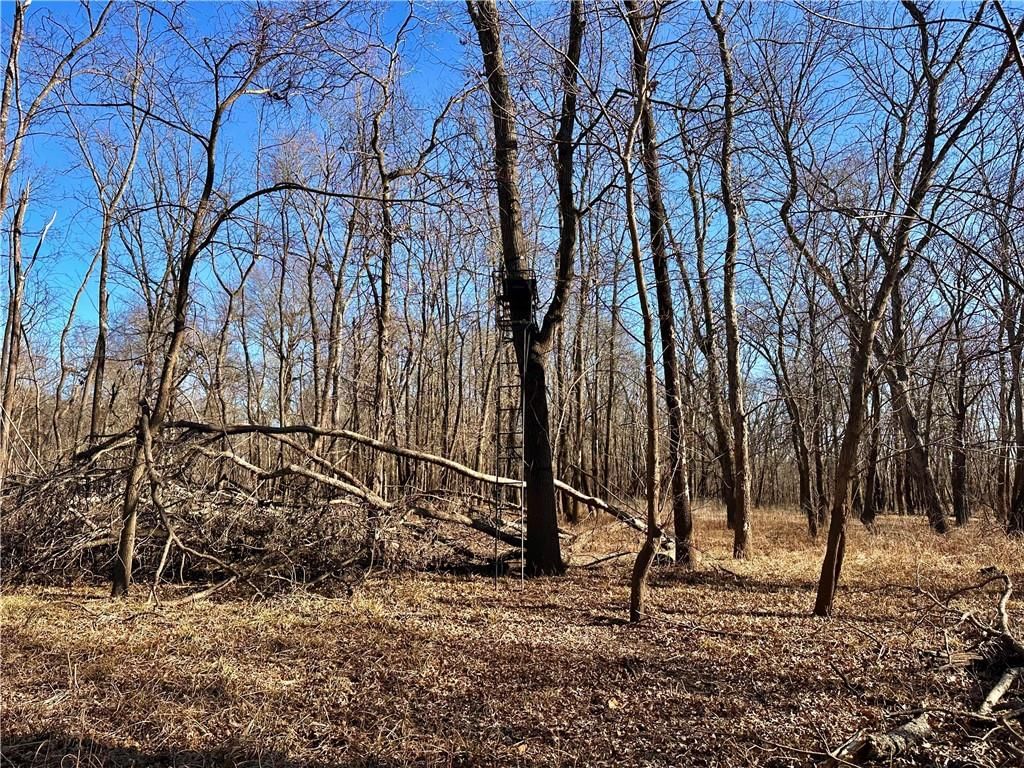 000 Old River Road — photo 30