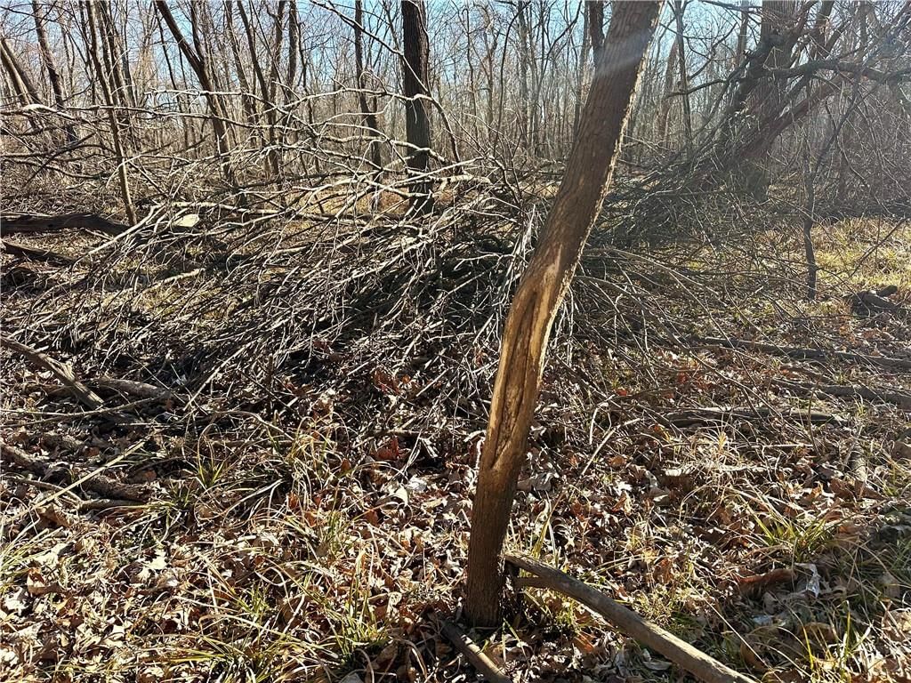 000 Old River Road — photo 31