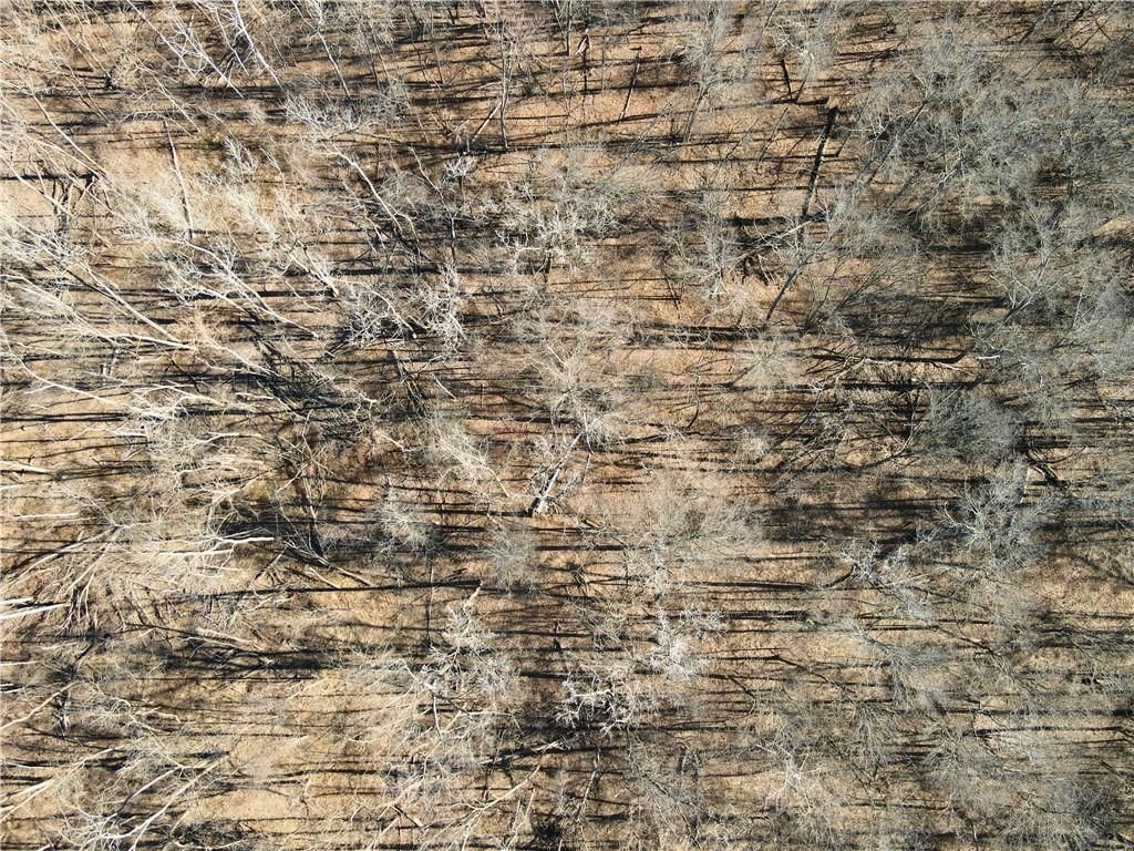 000 Old River Road — photo 35