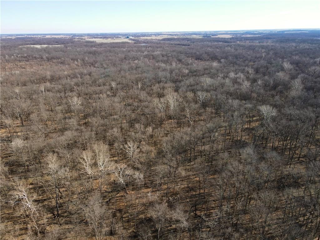 000 Old River Road — photo 37