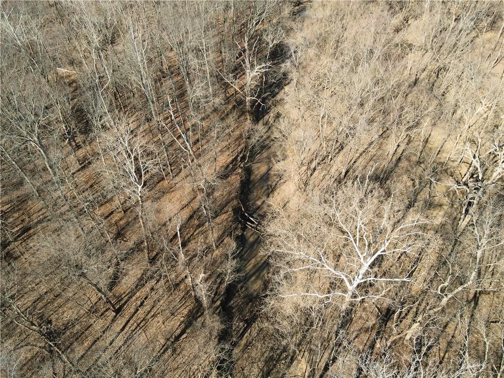 000 Old River Road — photo 39