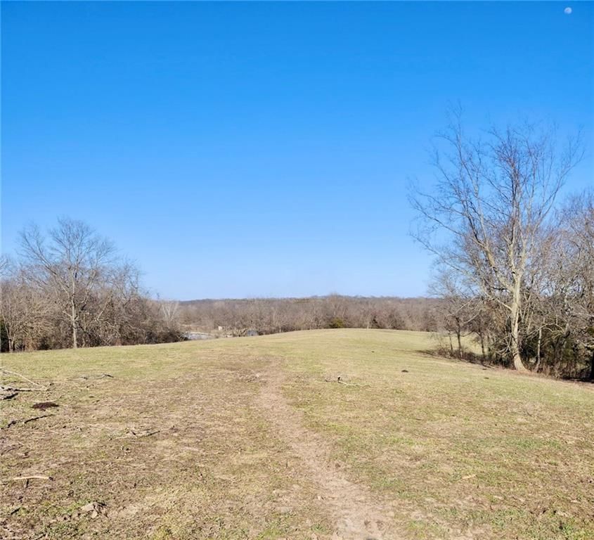 1001 S Van Dyke Road — photo 4