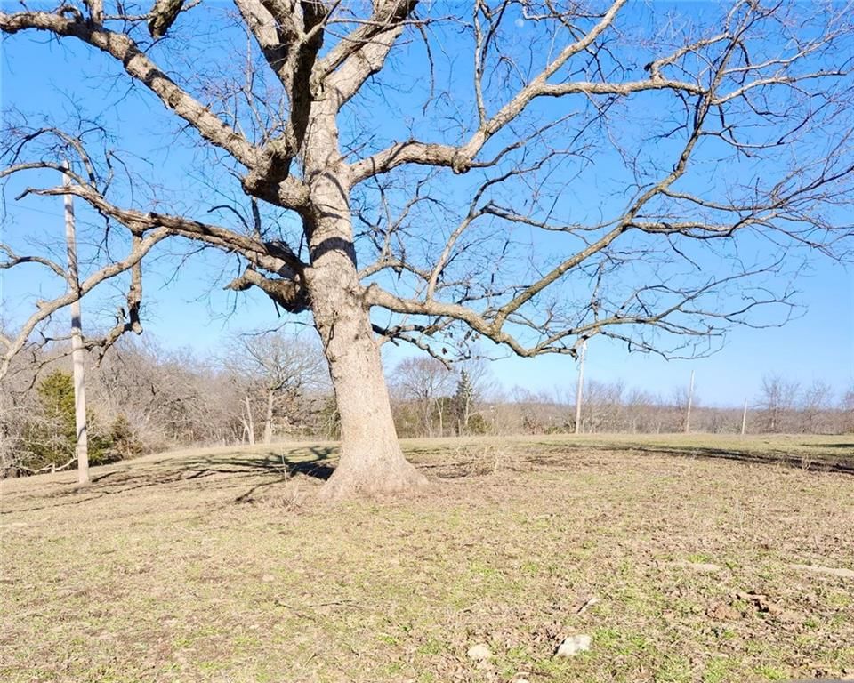 1001 S Van Dyke Road — photo 5