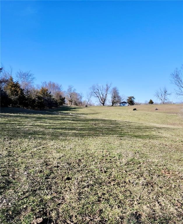 1125 S Van Dyke Road — photo 4