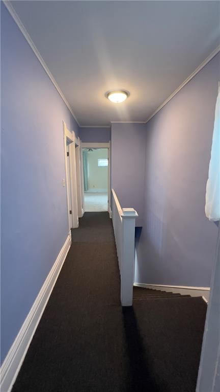 523 Tracy Avenue — photo 20